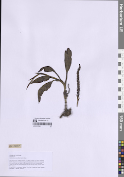 LE 01317963