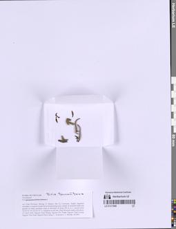 LE 01317968