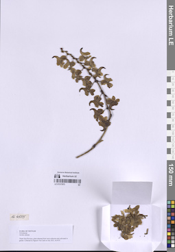 LE 01317973