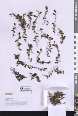 LE 01317982