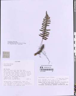 LE 01318499