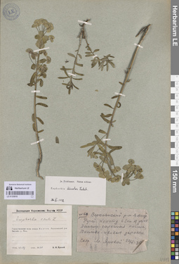 LE 01335918