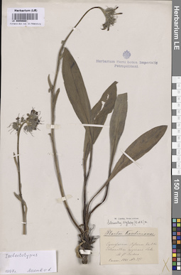 LE 00050680