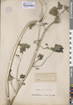 LE 01312178