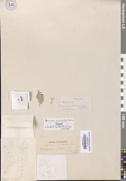 LE 01013527