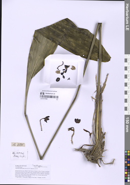 LE 01317846