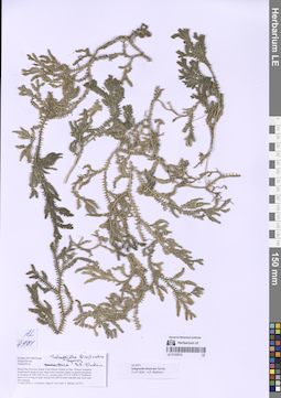 LE 01332012