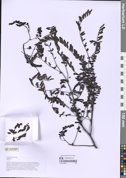 LE 01332027