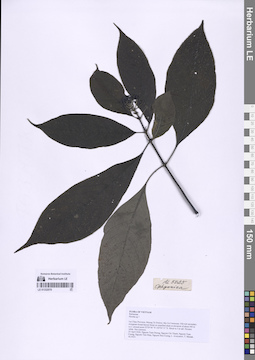 LE 01332070