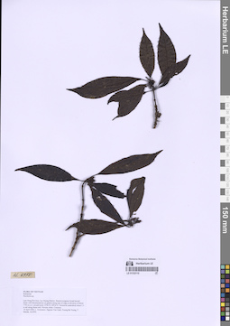 LE 01332110