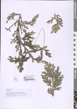 LE 01332145