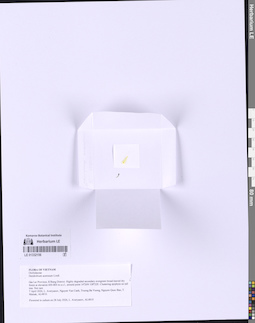LE 01332156