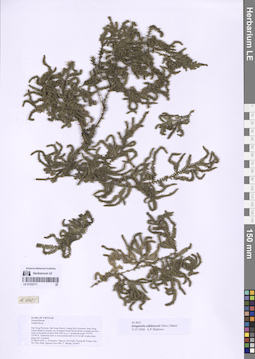 LE 01332171