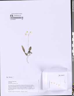 LE 01332193