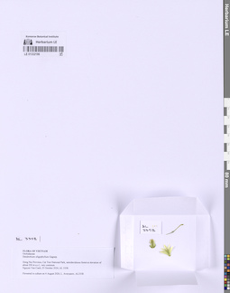 LE 01332196