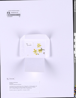 LE 01332197