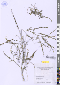 LE 01336020