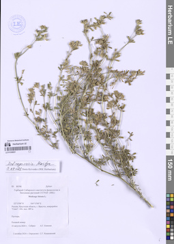 LE 01336021