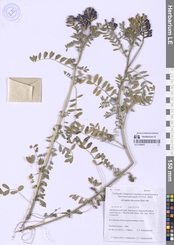 LE 01336025