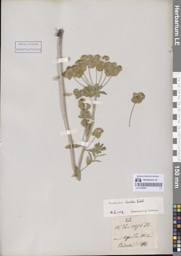 LE 01336088
