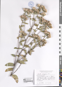 LE 01331404