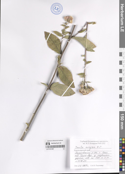 LE 01331405
