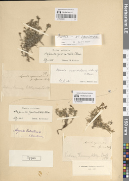 LE 01205052