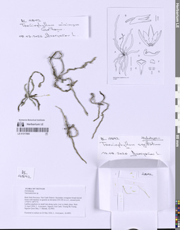 LE 01317800