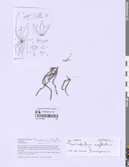 LE 01317989