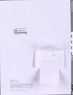 LE 01312210