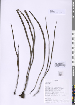 LE 01318444