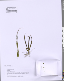 LE 01332198