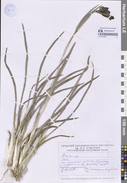LE 01312326