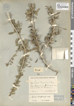 LE 01312379