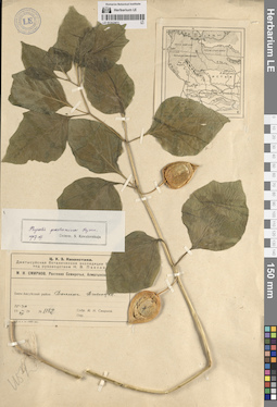 LE 01312411