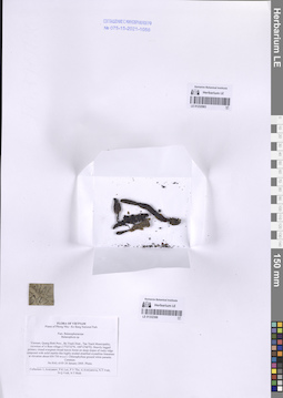 LE 01332388