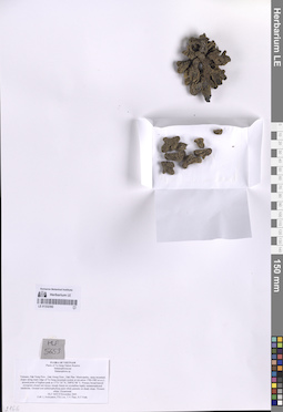 LE 01332392