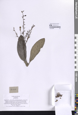 LE 01332408