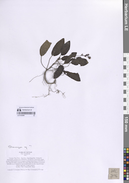 LE 01332409