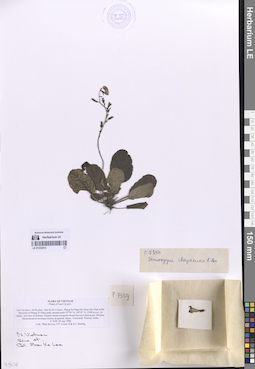 LE 01332415