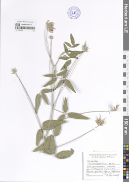 LE 01331613