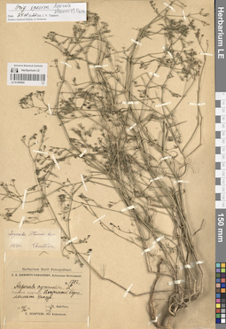 LE 01205055