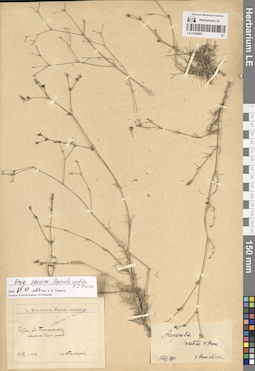 LE 01205057