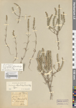LE 01205063