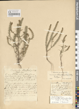 LE 01205064
