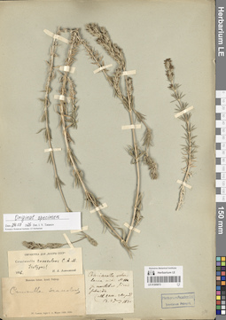 LE 01205072