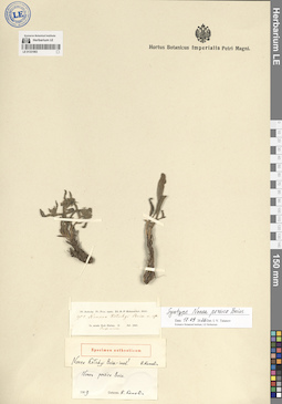 LE 01331963