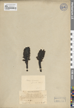 LE 01331972