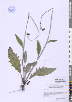 LE 01330276