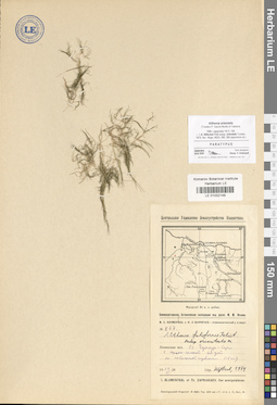 LE 01032149